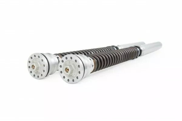 Ohlins Cartridge Kaw. ZX-10R/RR SUZ. Fkr 105