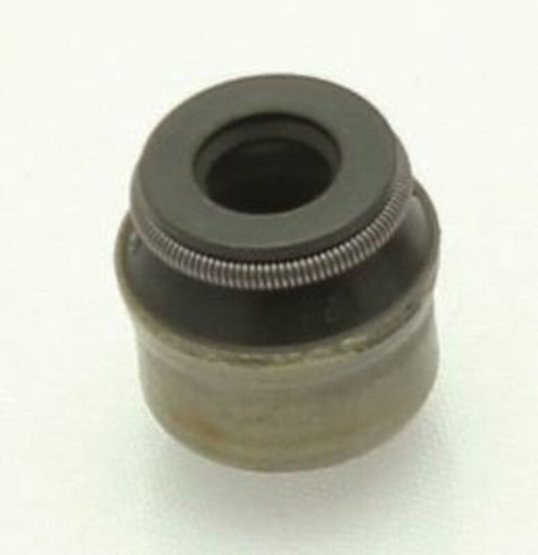 Centauro pečate ventila - set od 10 U040112YV