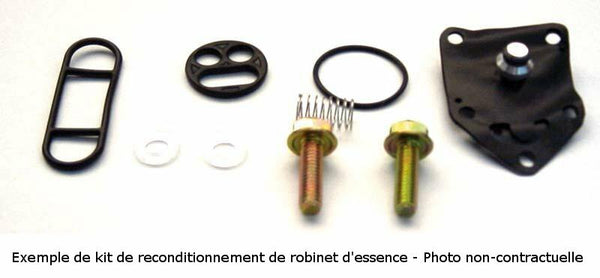 Tourmax fuel valve repair kit-FCK-51