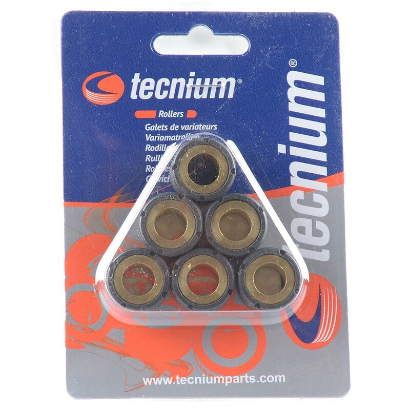 TECNIUM Variator Rollers 29x22mm 32.5gr - Set of 6 1008656 