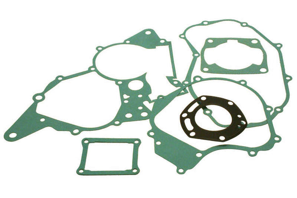 Centauro kompletan brtvi motor set 666A221fl