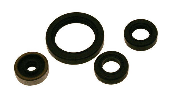 Centauro Oil Seal Set 722A988SR