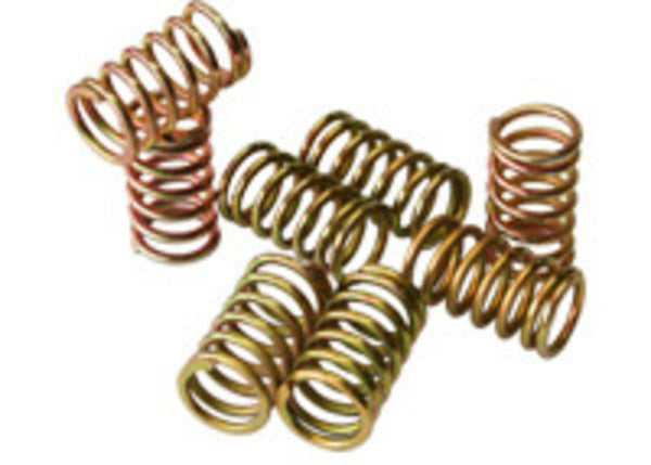 Prox Spring Spring Kit Beta RR350/250/300 17.CS73013