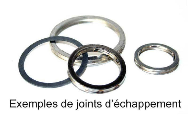 Centauro Exhaust Gasket D. 28.25x2.62 mm W311270QR