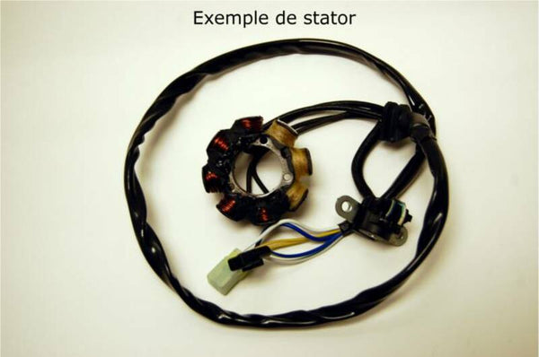 Electrosport Stor - Suzuki RM125/250 ESC462