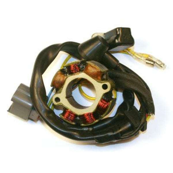Electrosport Stor & Lightning Coil - Suzuki RM -Z250 ESL730