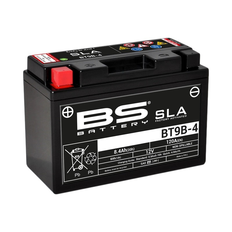 „BS Battery SLA“ akumuliatoriaus priežiūra Nemokama gamyklos suaktyvinta - BT9B -4