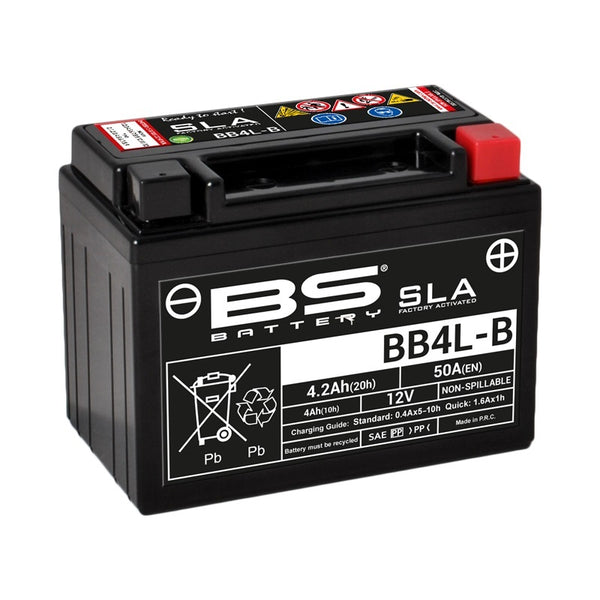 „BS Battery SLA“ akumuliatoriaus techninė priežiūra nemokama gamykla - BB4L -B