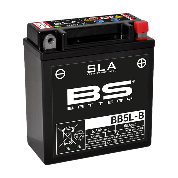 „BS Battery SLA“ akumuliatoriaus techninė priežiūra nemokama gamykla - BB5L -B