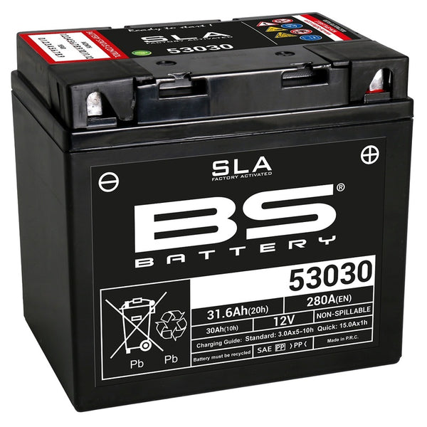 „BS Battery SLA“ akumuliatoriaus priežiūra nemokama gamykla - 53030