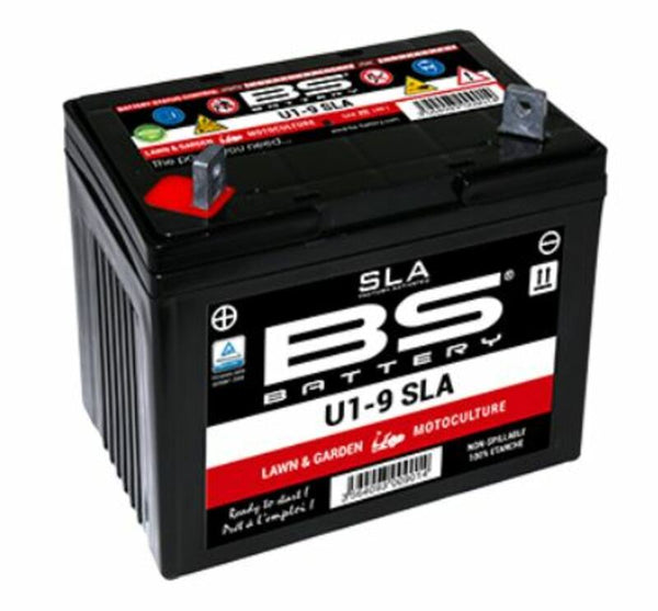 „BS Battery SLA“ akumuliatoriaus priežiūra nemokama gamykla - U1-9