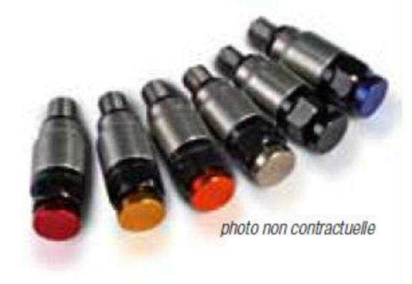 Nerūdijančio slėgio išleidimo vožtuvas, skirtas „Kayaba“/„Showa M5X 0.8KY-M05/Blue“