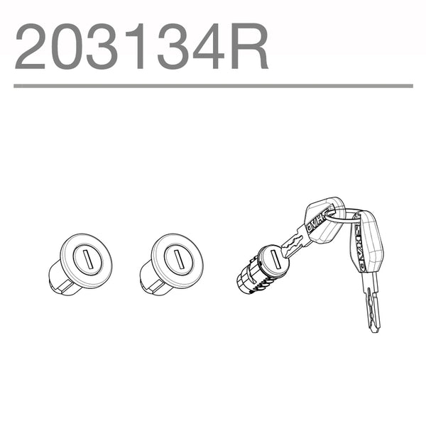 SHAD SH35/SH36 SUSTAV KRAZNIH BRAKA 203134R