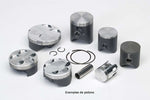 TECNIUM Casted Piston 1095036005 