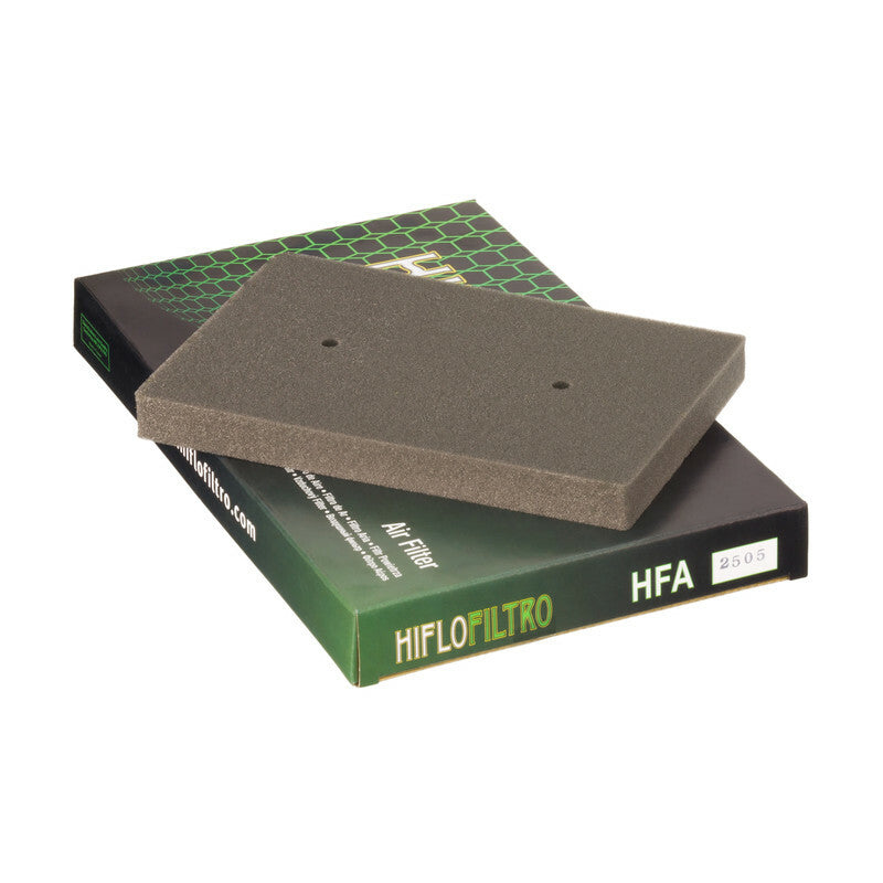 HIFLOFILTRO Air Filter - HFA2505 HFA2505