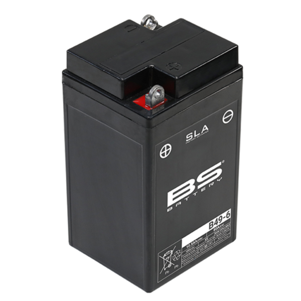 „BS Battery SLA“ akumuliatoriaus priežiūra nemokama gamykla - B49-6