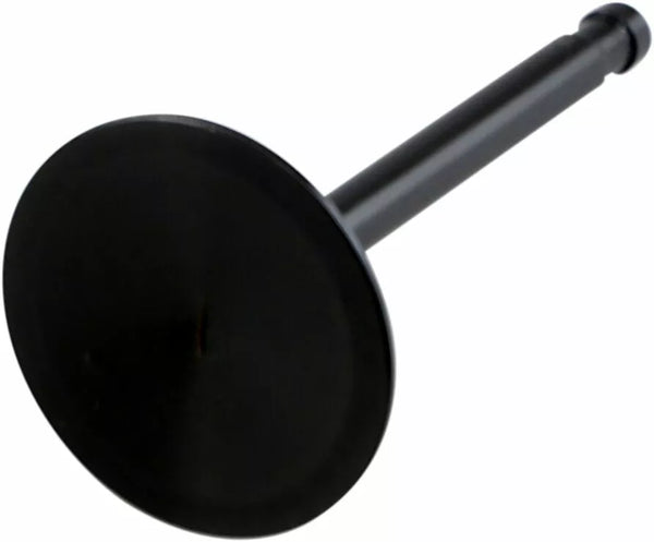 KibbleWhite Nitrided int 58-69xl1.825 20-4258
