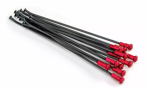 Kite spokes 19 rr bk / re ni 12pc 20.907.1.ro