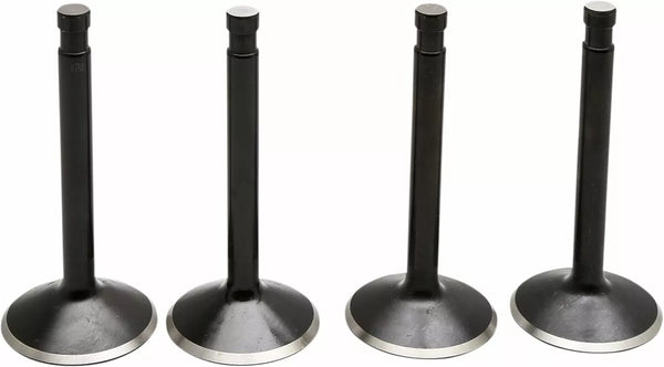 KibbleWhite Valve Kt Shovel 74 66-77 20-22400