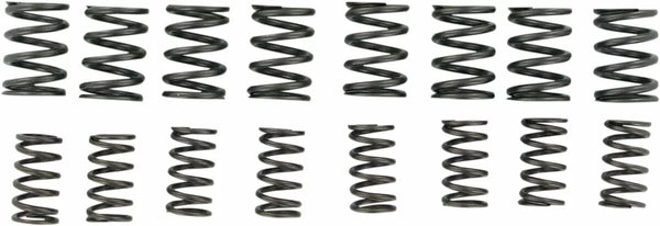KibbleWhite Springs Valve STD KZ1000 40-0449