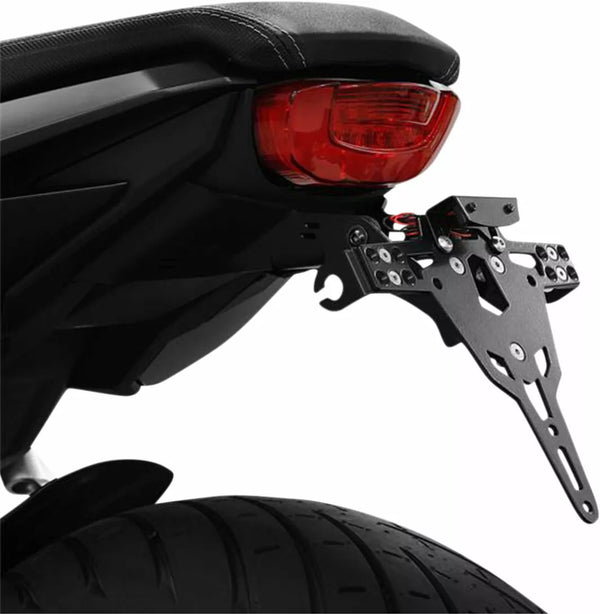 Zieger LCS PLT HLD Tip A CB650R 10008026