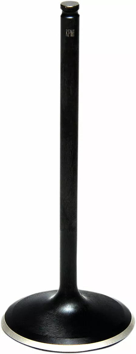 KibbleWhite Valve in Std RZR 1000 15-21 82-82612