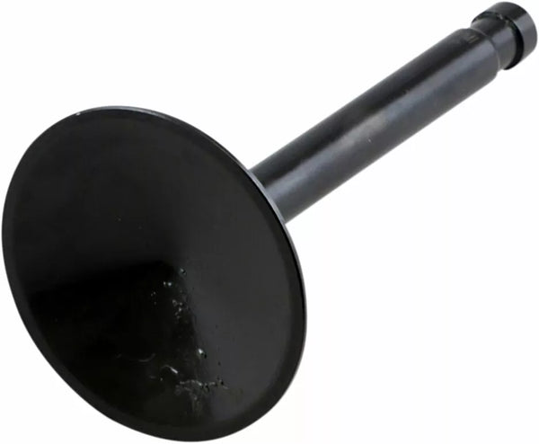 KibbleWhite Nitride Valve Int66-84SHL 20-4194