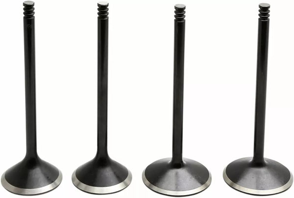 KibbleWhite Valve Kit 88-03 EVO/1200 20-22800