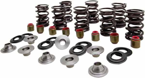 KibbleWhite Spring Kit Valve Ti RZR 82-82350