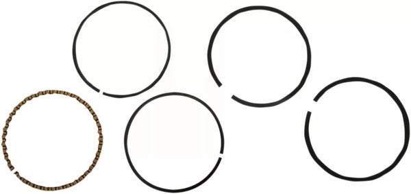 Hastings Rings 3 5/8 STD WG1145311 | 2M5721