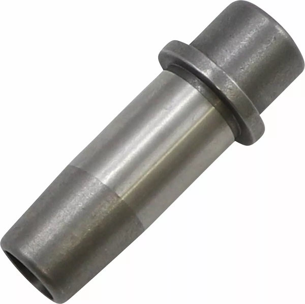 KibbleWhite Guide VLV 48-E79BT+.006CI 20-2026C