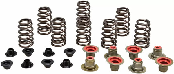 KibbleWhite Spring KT RZR XP1000 14+ 82-82550