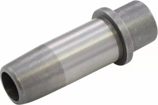 KibbleWhite Guide VLV 48-E79BT+.010CI 20-2029C