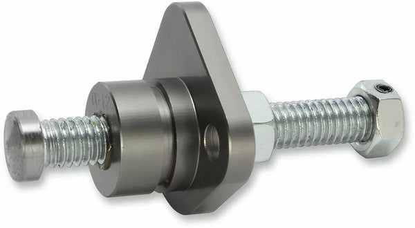 PSR Camchain Tensions St GM 06-02001-29