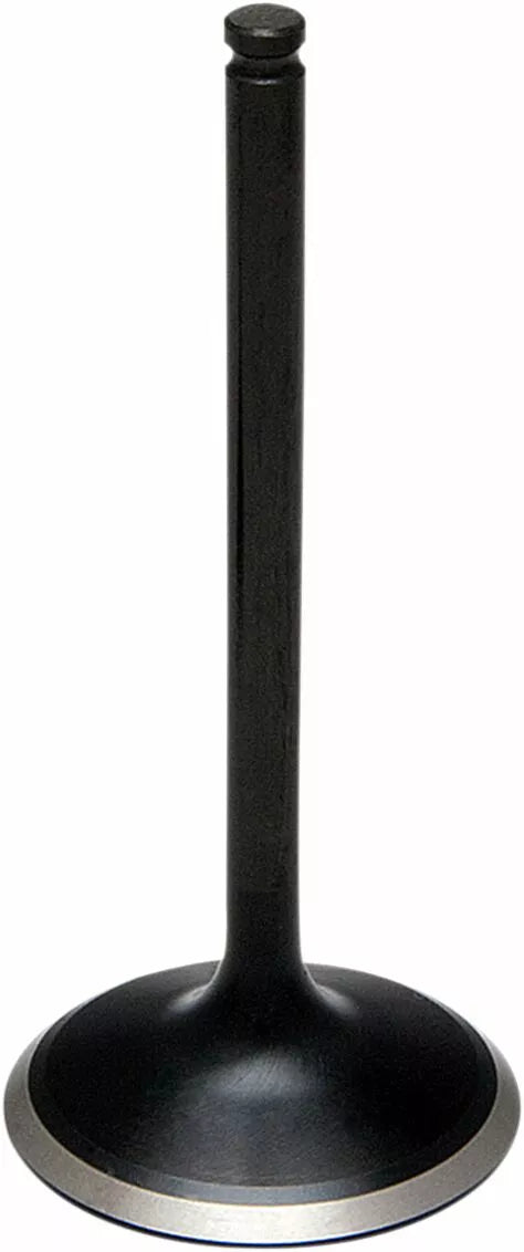 KibbleWhite Valve in LTR 450 STD 60-60310