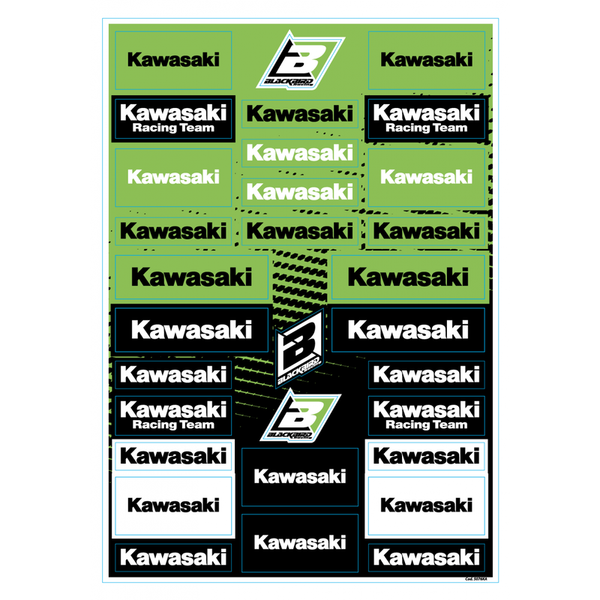 Nálepka Blackbird - Kawasaki - 5076KA