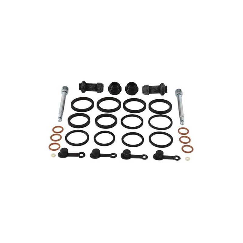 Všetky loptičky Seliper Rebuild Kit 18-3162