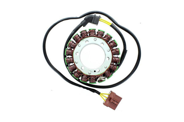 Electrosport Stor ESG 999 Aprilia RSV R 1000/ Factory (04-09)/ ESG999