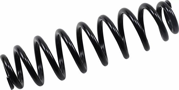 Epi Spring Susp HD Pol Rr BK WE325130
