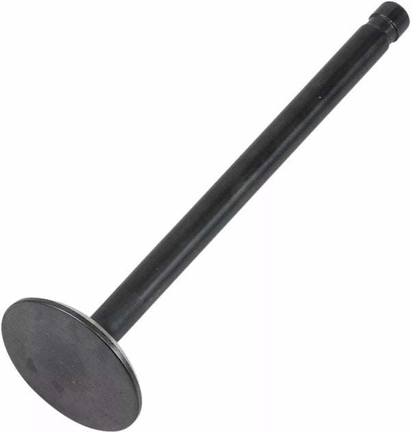 KibbleWhite Nitr Ext Val 86-03 XL 883 20-20092
