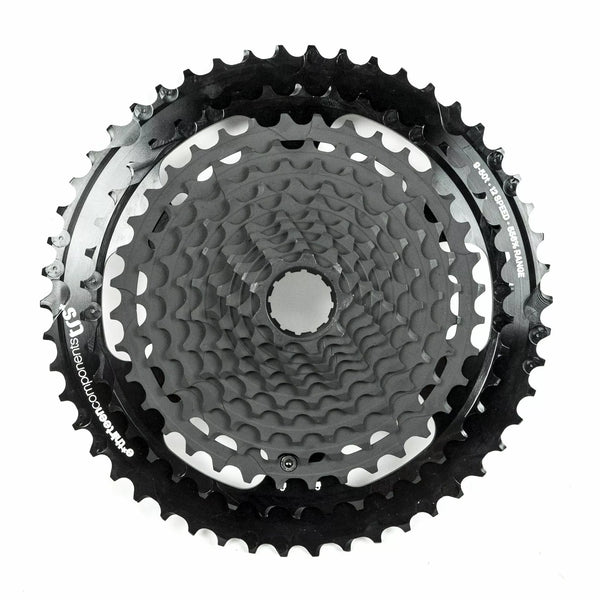 E*Thirteen TRS PLUS 9-46T 12SPEED FW2TPA-103
