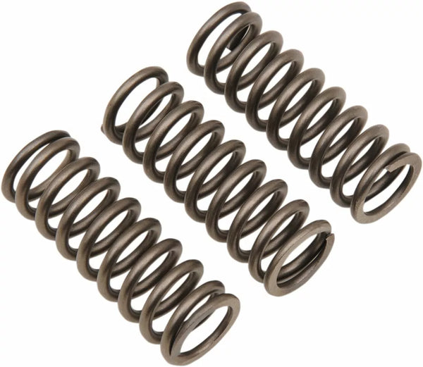 EBC Clutch Spring Set (3pcs) CSK228