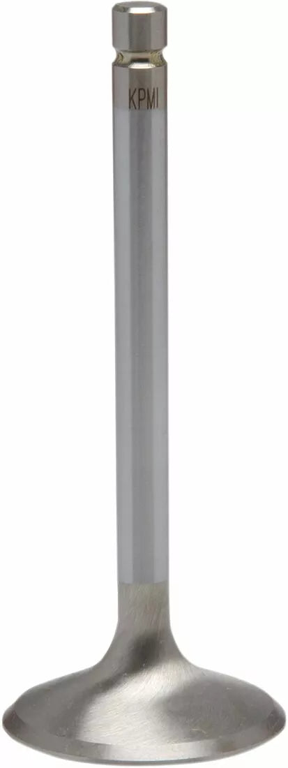 KibbleWhite Valve in STD KZ900/1000 40-4180H