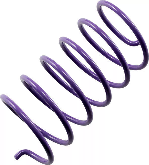 Epi Secondary Spring Purple PDS-6
