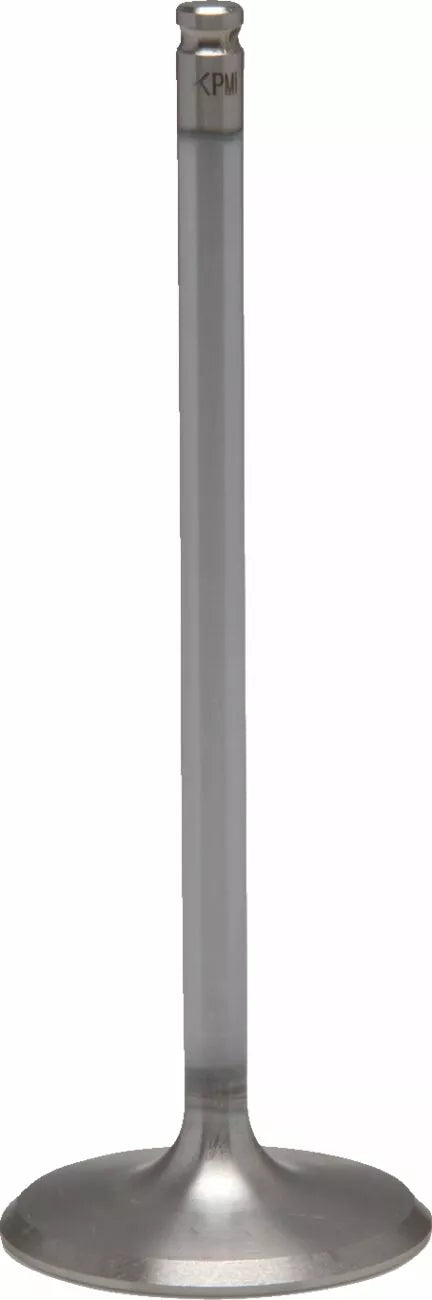 KibbleWhite Valve in Std Hon1000 16+ 30-33812h