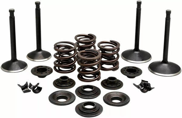 KibbleWhite Valve Kit Comp 70-83 SPT 20-22350
