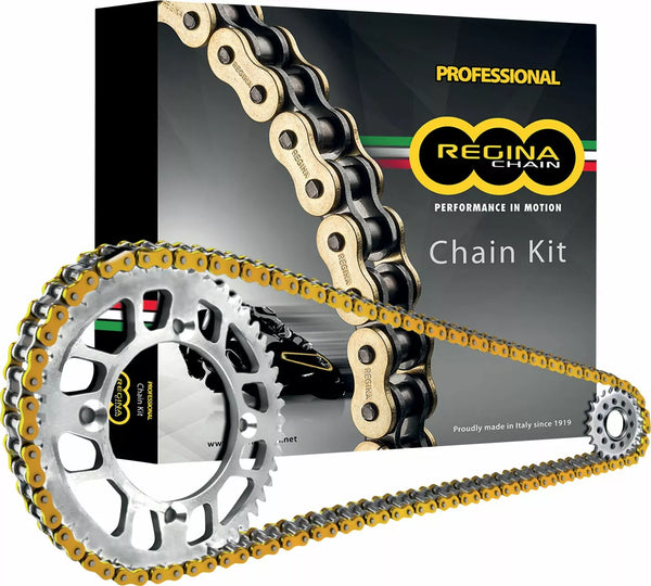 Regina Kit Tri Daytona 675 06-10 KT021