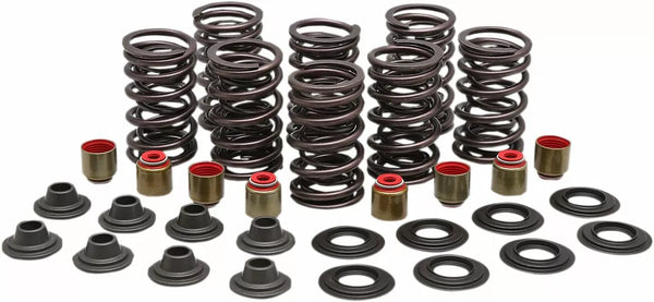 KibbleWhite Spring Kit Valve Size RZR 82-83450