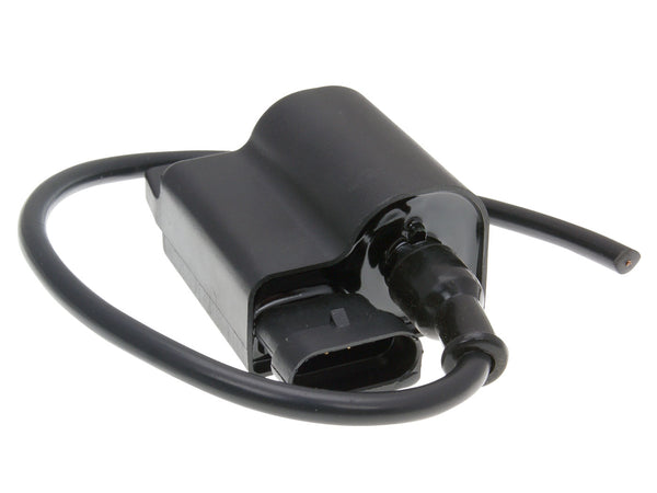 101 Octane CDI Unit W/ Ignition Coil 25764