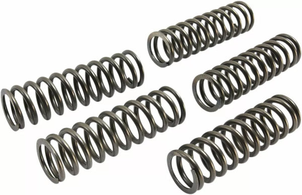 EBC Clutch Spring Set CSK CSK223